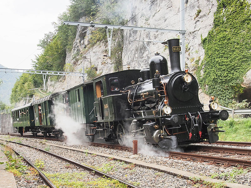 E 3/3 8485 mit dem HEG Zug